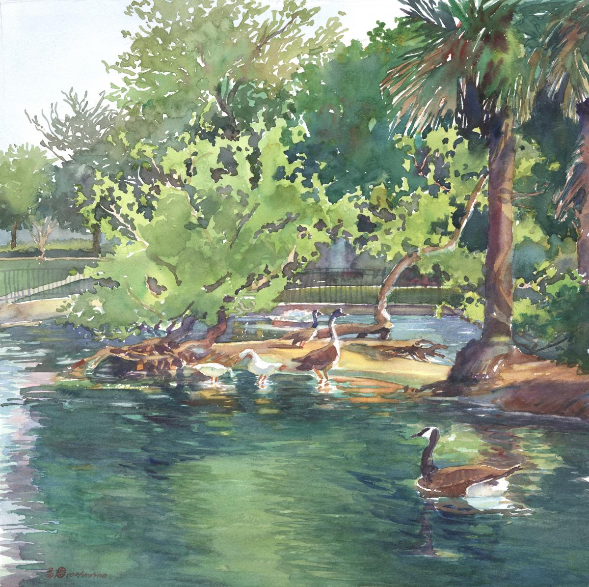 Bird's Little Acre - en plein air watercolor painting of geese on the water by Frank Costantino
