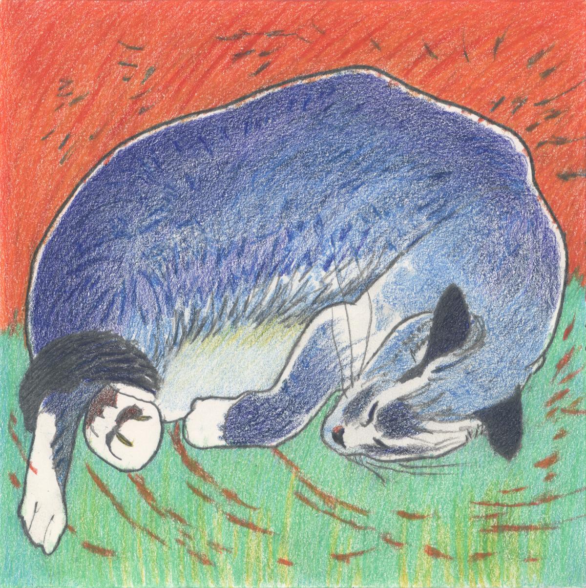 Blue Cat on Orange & Green Field - color drawing of sleeping cat by Frank Costantino
