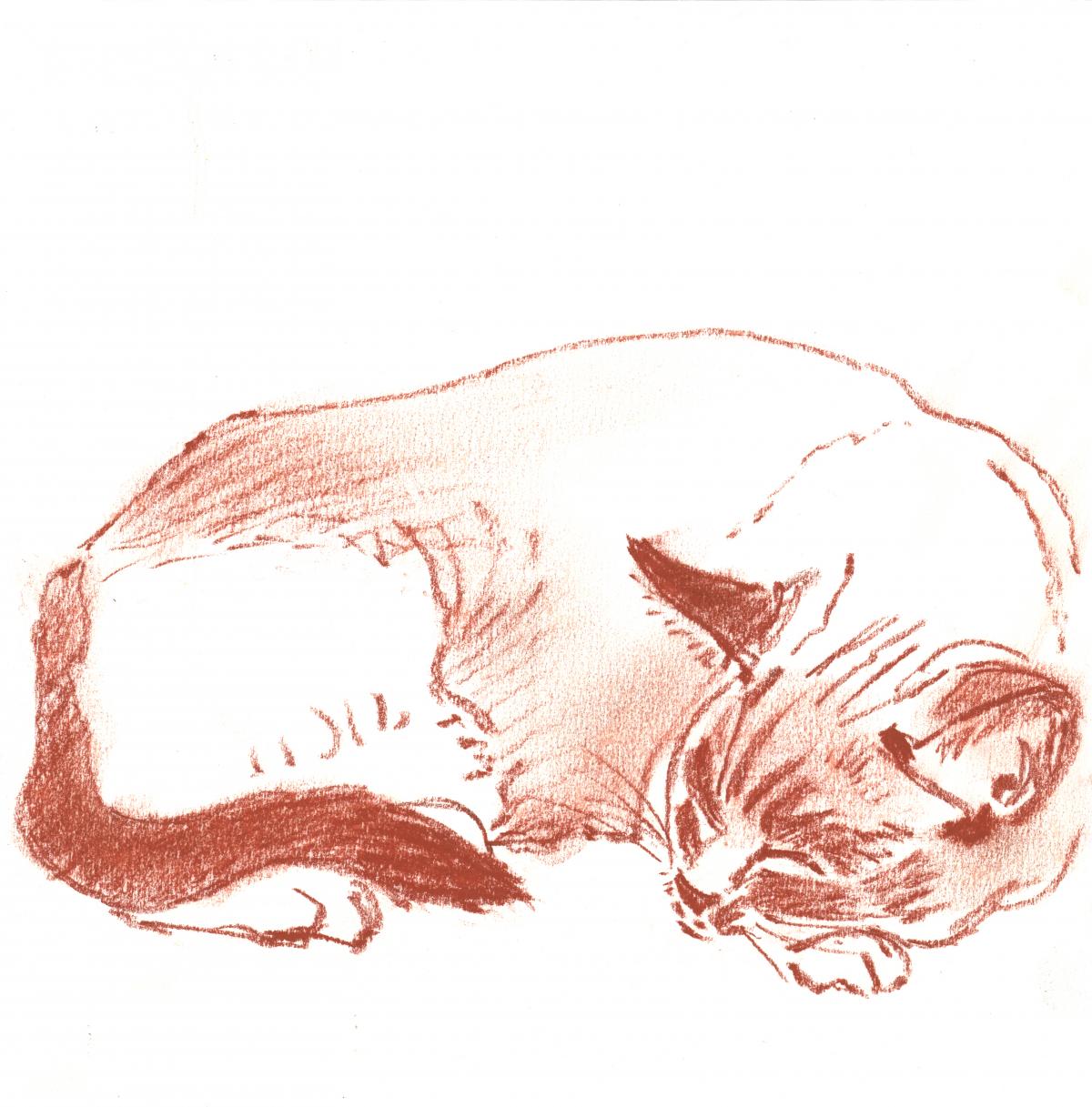 Bootsie- Chalky – drawing of a cat sleeping by Frank Costantino Bootsie- Chalky - drawing of a cat sleeping by Frank Costantino