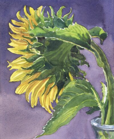 Flower's Radiance - watercolor floral painting by Frank Costantino Flower's Radiance - watercolor floral painting by Frank Costantino