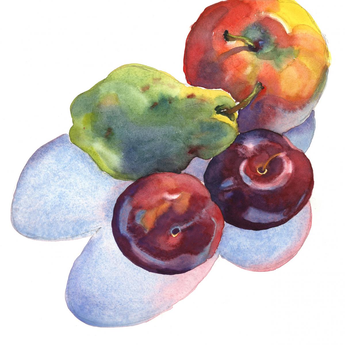 Fruit Casts Shadows Too -watercolor still life painting by Frank Costantino