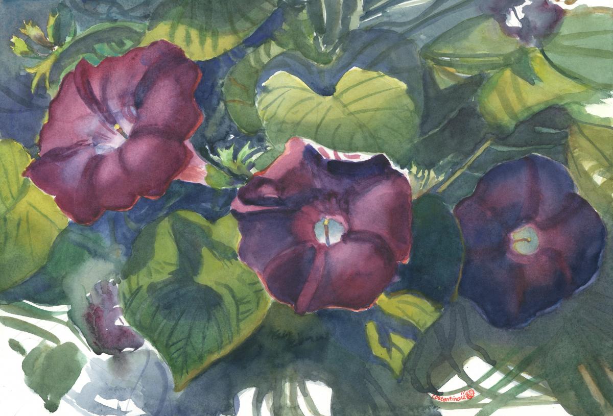 Glories' Brief Etude - watercolor floral painting by Frank Costantino