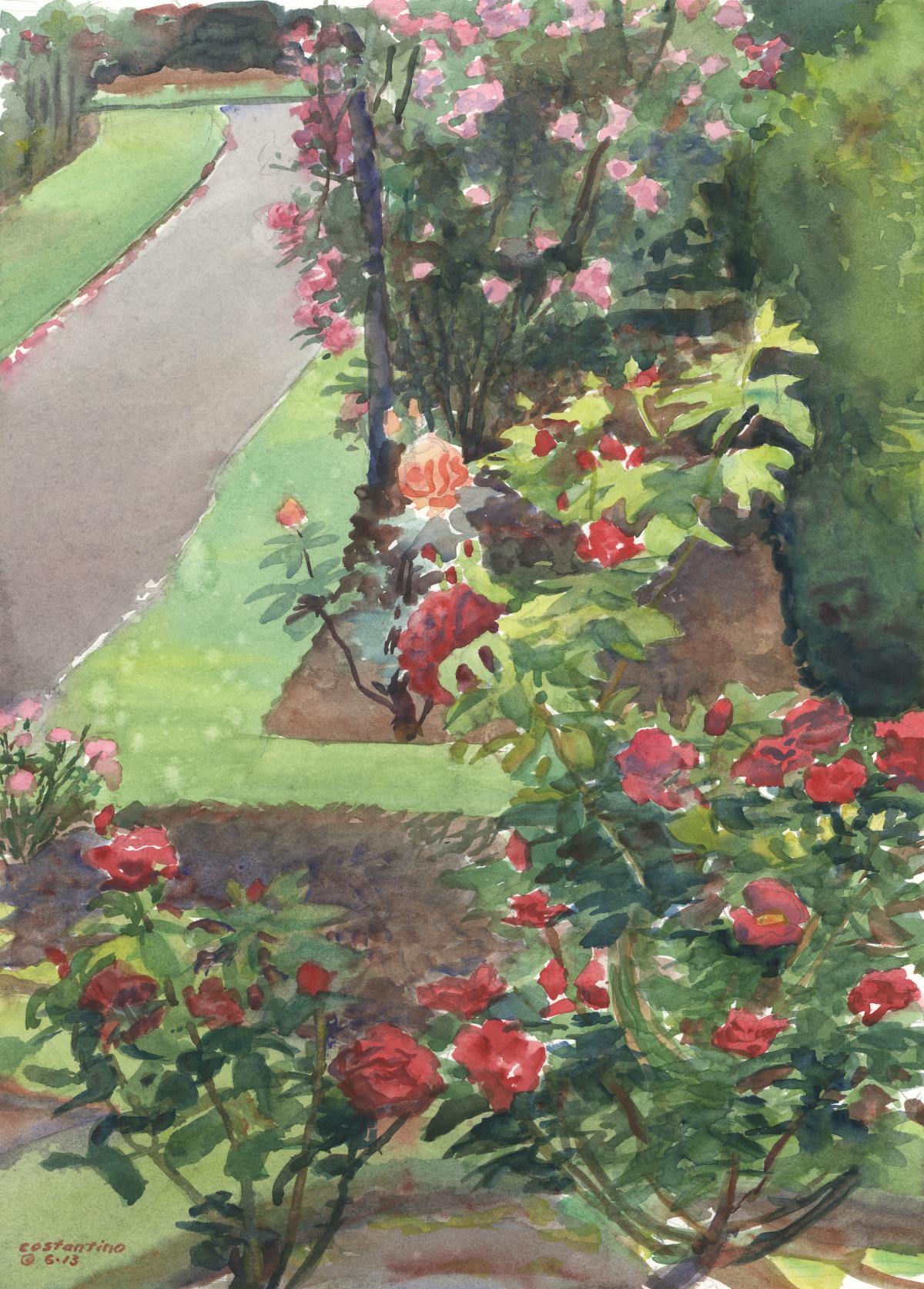 Rosey Pathway - en plein air watercolor landscape floral painting by Frank Costantino