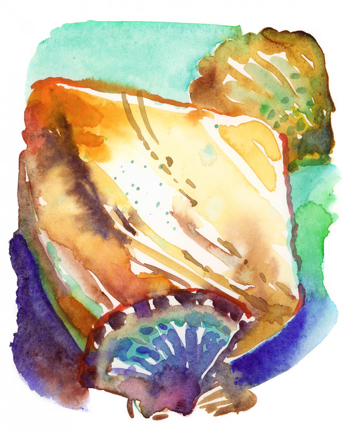 Shapes and Colors from the Ocean – watercolor painting of sea shells by Frank Costantino Shapes and Colors from the Ocean - watercolor painting of sea shells by Frank Costantino
