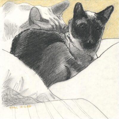Taking Notice - watercolor painting of cats by Frank Costantino Taking Notice - watercolor painting of cats by Frank Costantino