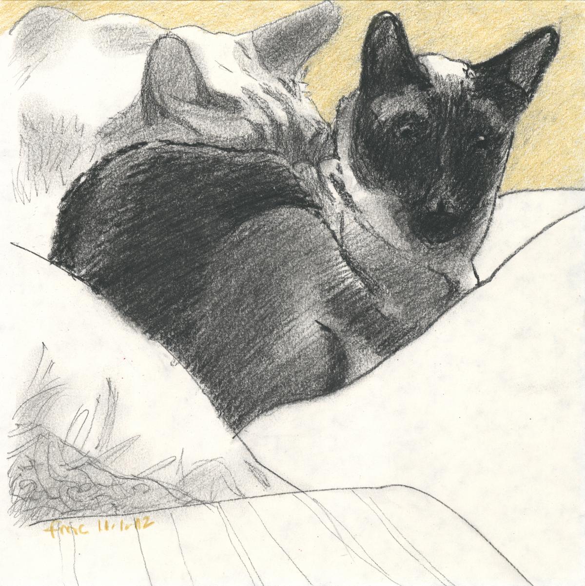 Taking Notice – watercolor painting of cats by Frank Costantino Taking Notice - watercolor painting of cats by Frank Costantino